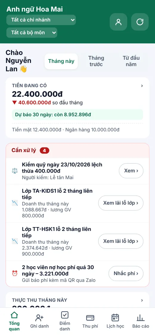 Tổng quan trên điện thoại
